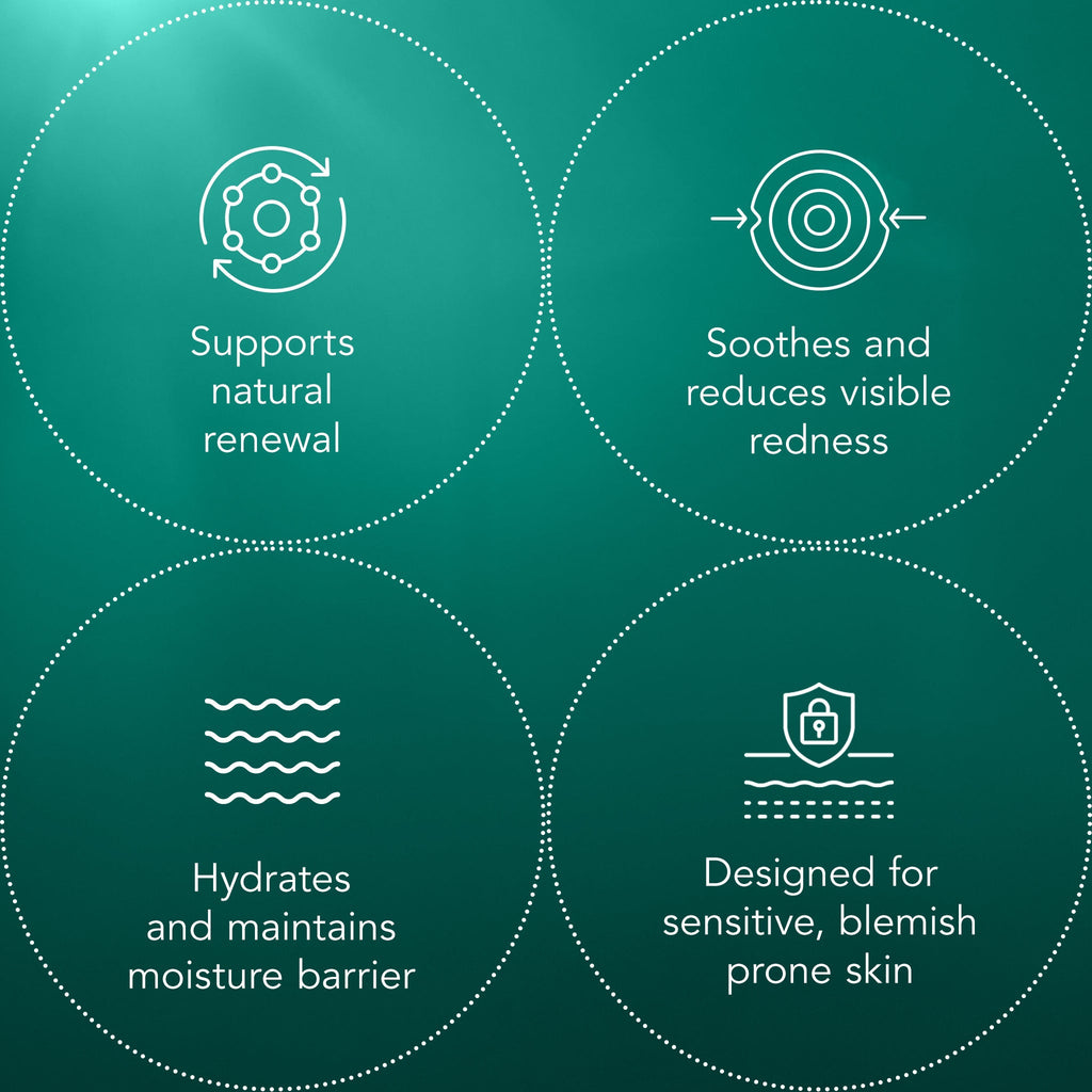 Blemish Recovery Mask Z4