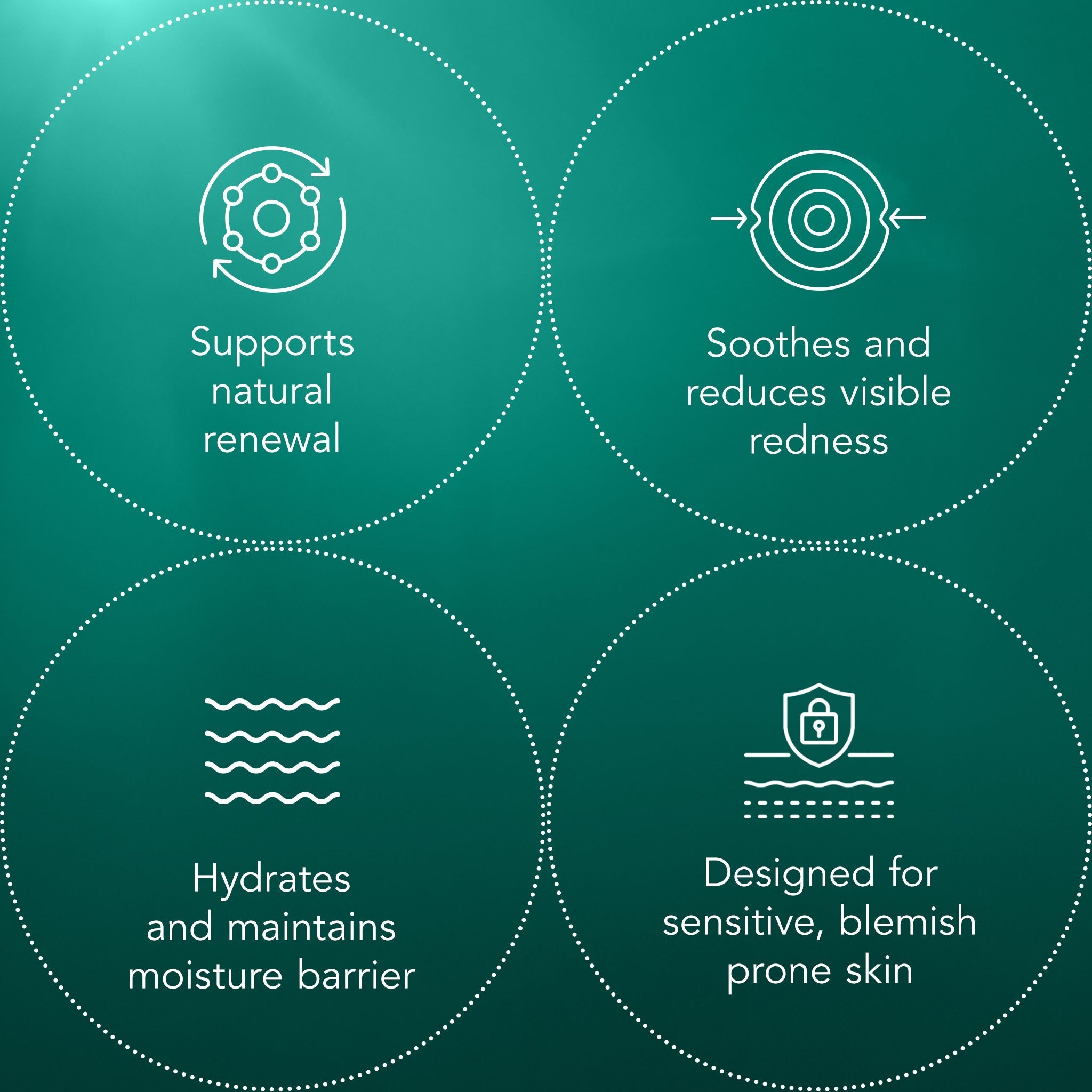 Blemish Recovery Mask Z4